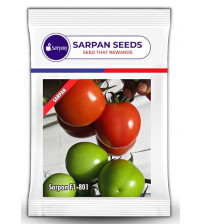 Tomato Sarpan 801- 5 grams